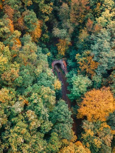 Abandoned railroad tunnel, Neustadt (Wied)