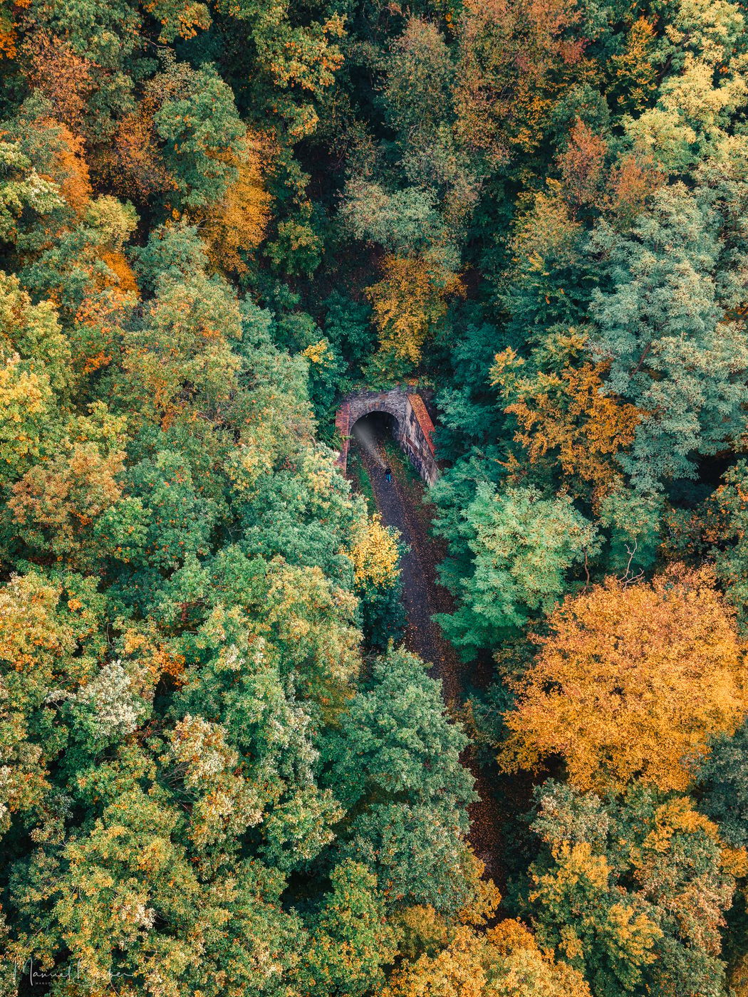 Abandoned railroad tunnel, Neustadt (Wied), Germany