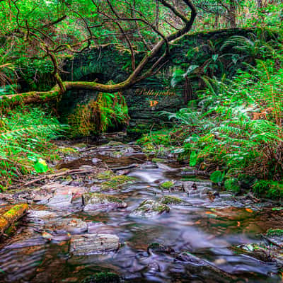 Arroyo da Salgueira, Spain