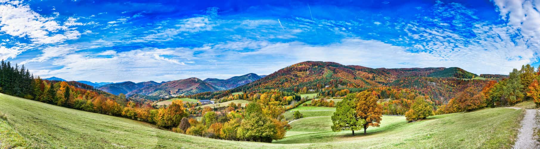 Autumn at the Steinwandklamm