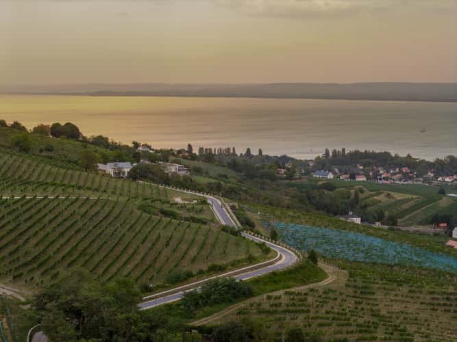 Badacsony Hill