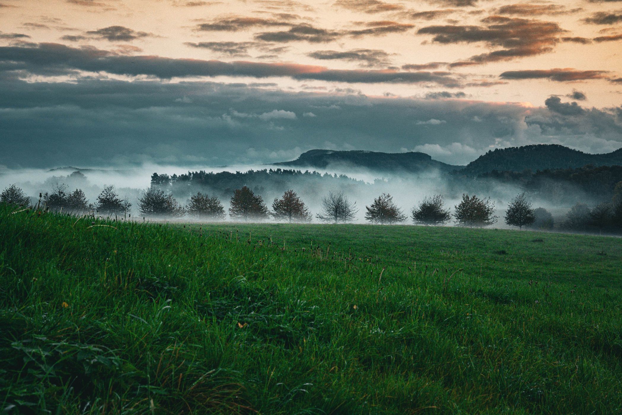 Blick auf den Lilienstein, Germany