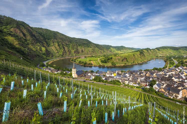 Bremm, Mosel bend and Saint Lawrence's Church