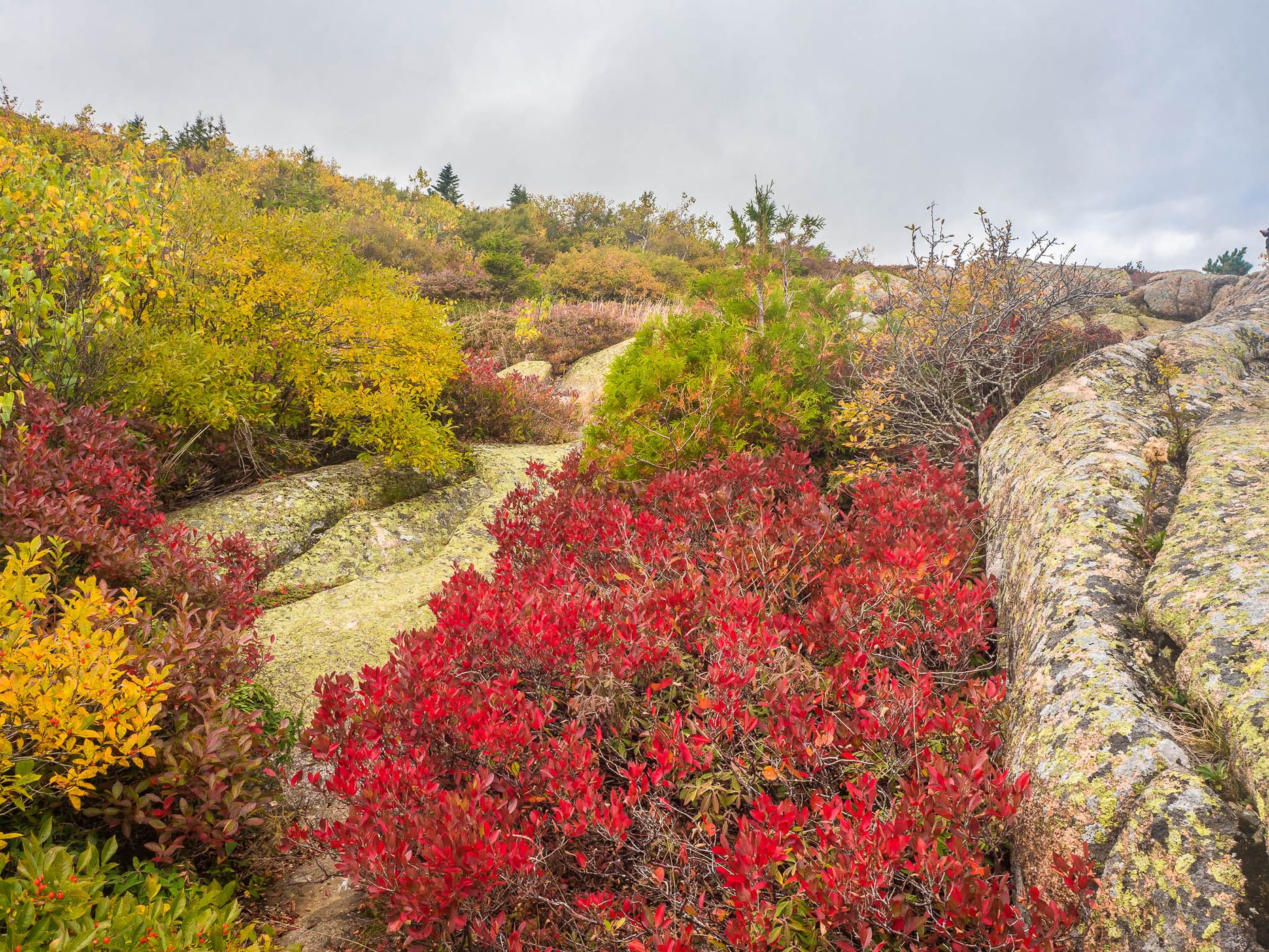 Cadillac Mountain, USA