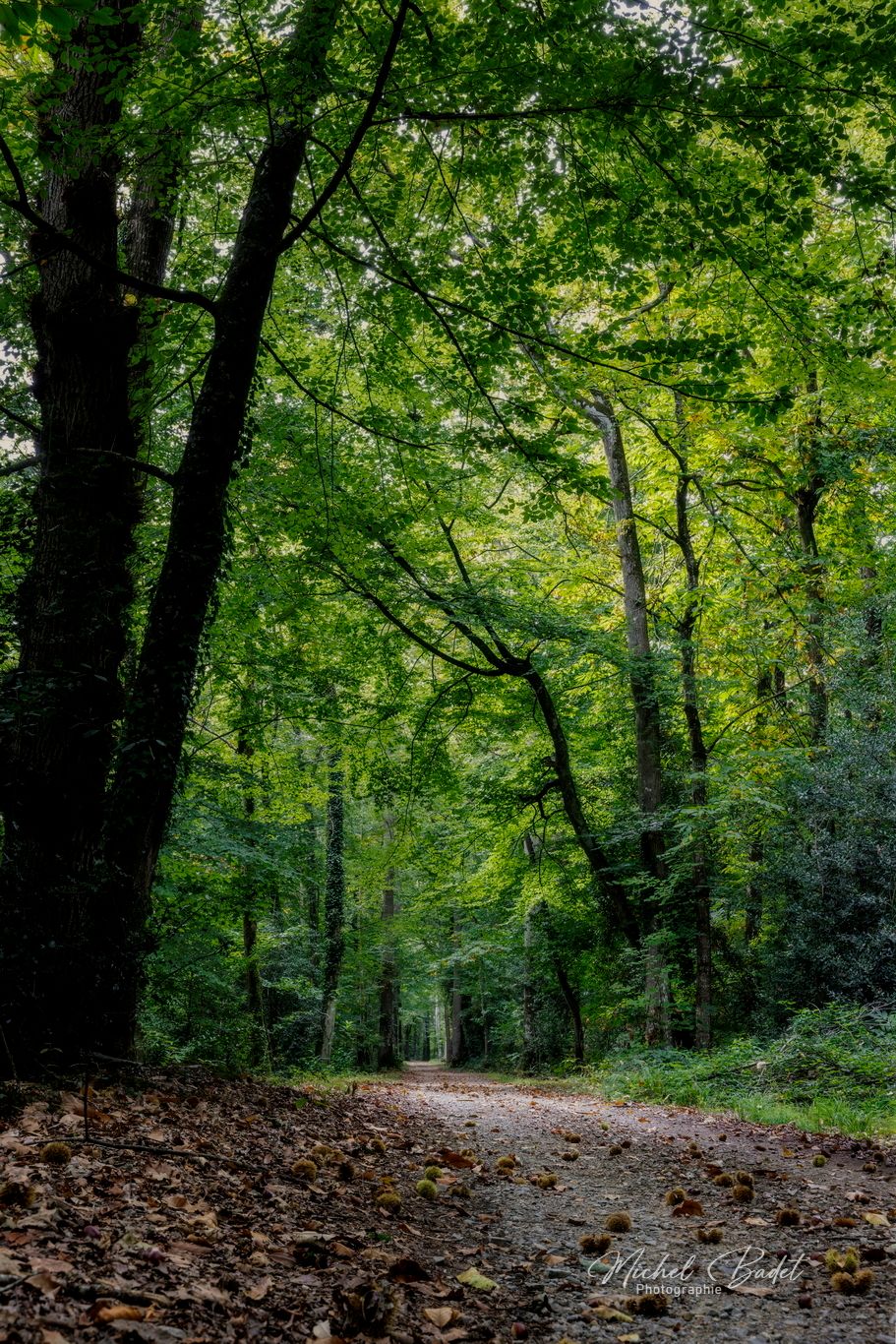 Canal d'Ille et Rance, Ville Morin, France