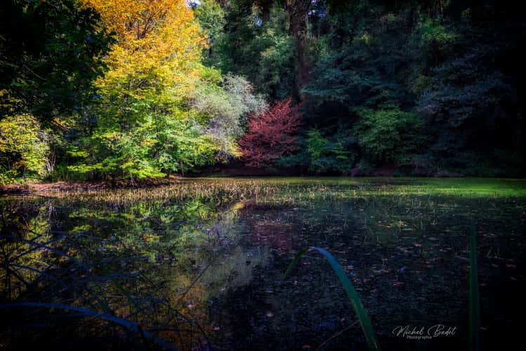 Canal d'Ille et Rance, Ville Morin