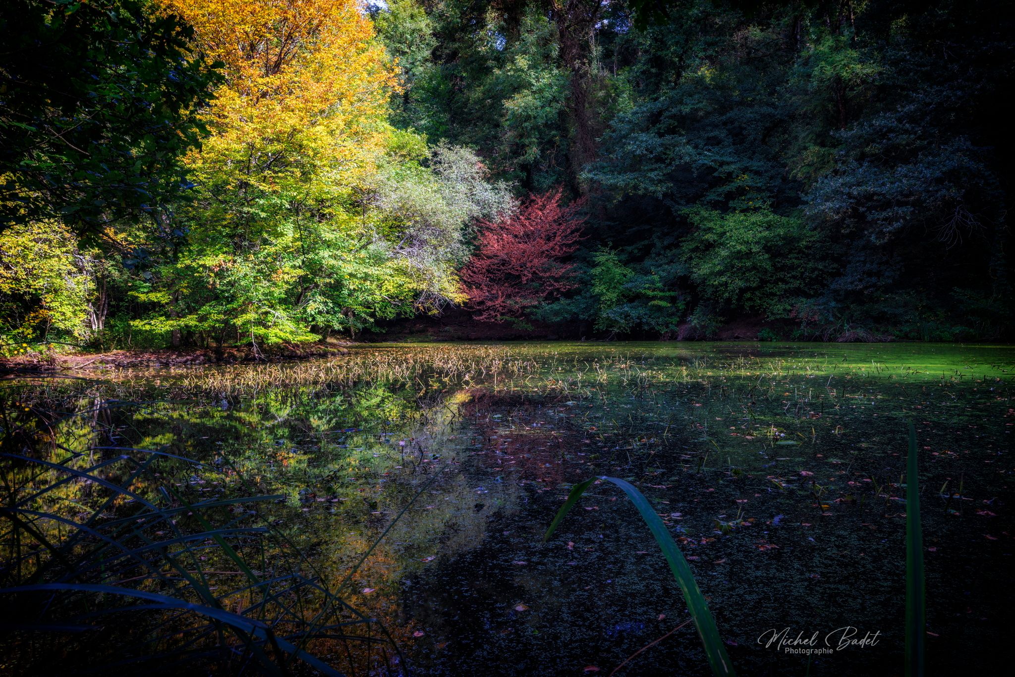 Canal d'Ille et Rance, Ville Morin, France