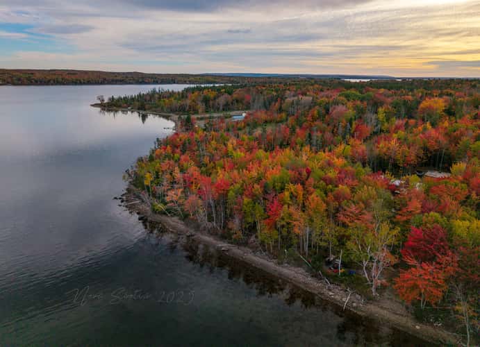 cape breton foliage