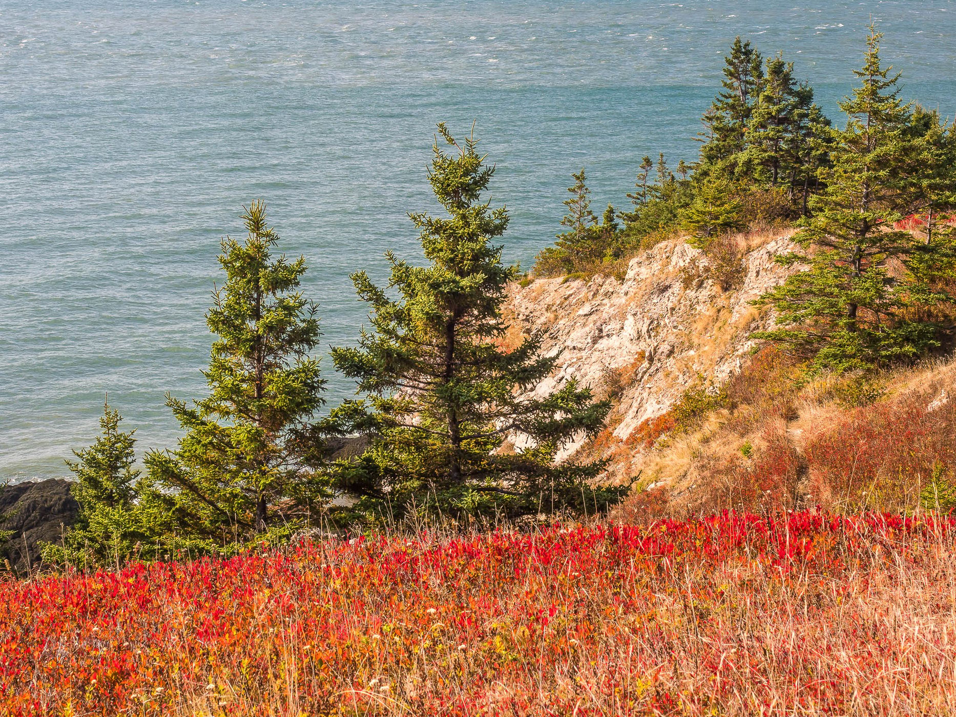 Cape Spencer, Canada
