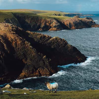 Cliffs at Erris Head Loop Walk, Ireland, Ireland