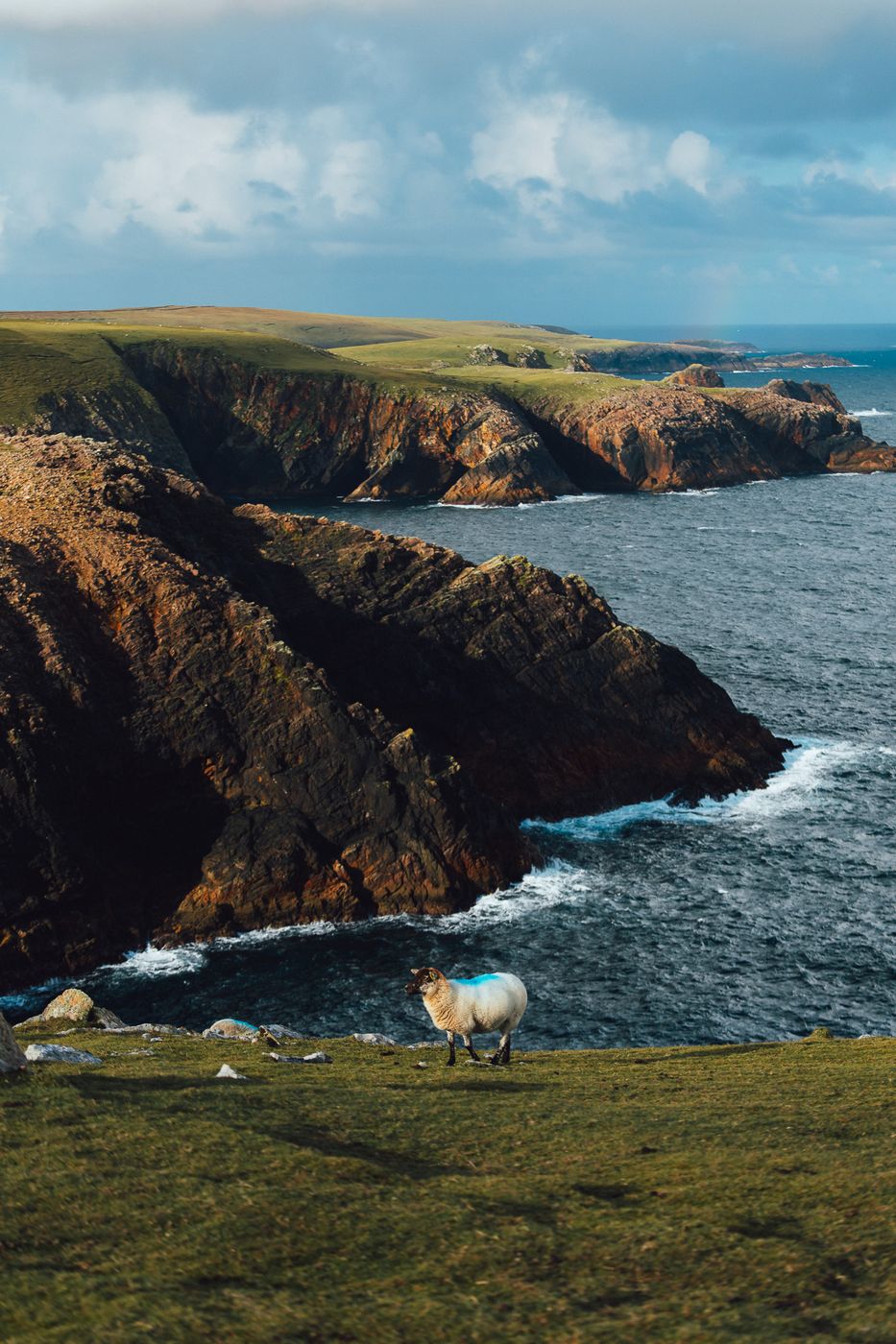 Cliffs at Erris Head Loop Walk, Ireland, Ireland