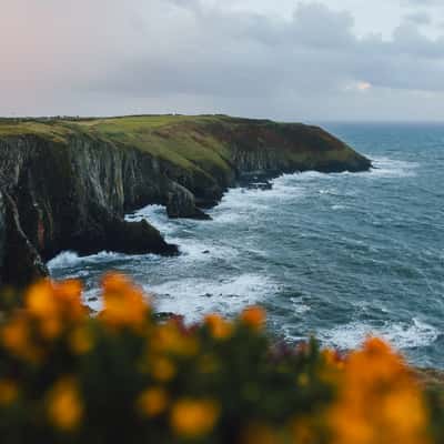 CliffsNewsHead, Ireland, Ireland