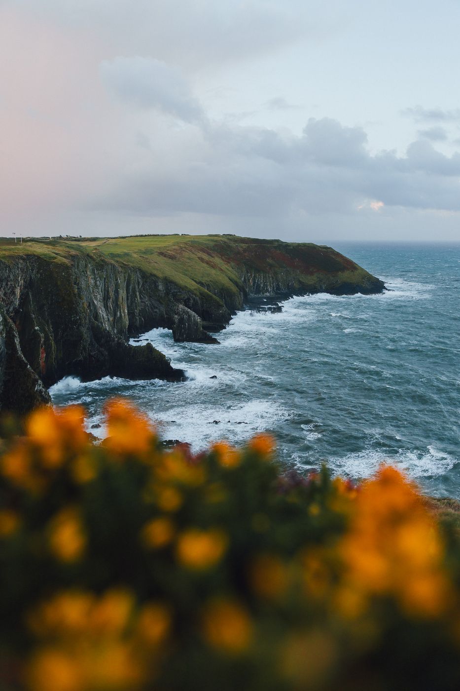 CliffsNewsHead, Ireland, Ireland