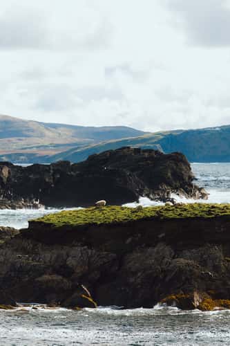 Cloughmore sea stack, Ireland