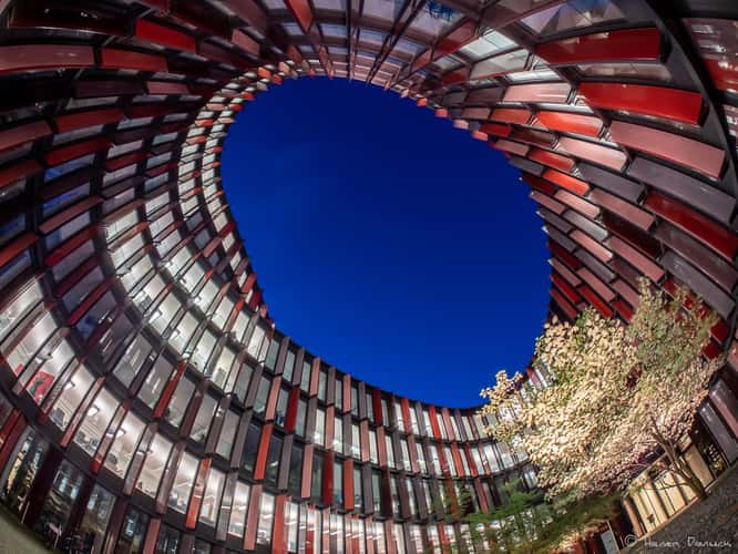 Cologne Oval Offices