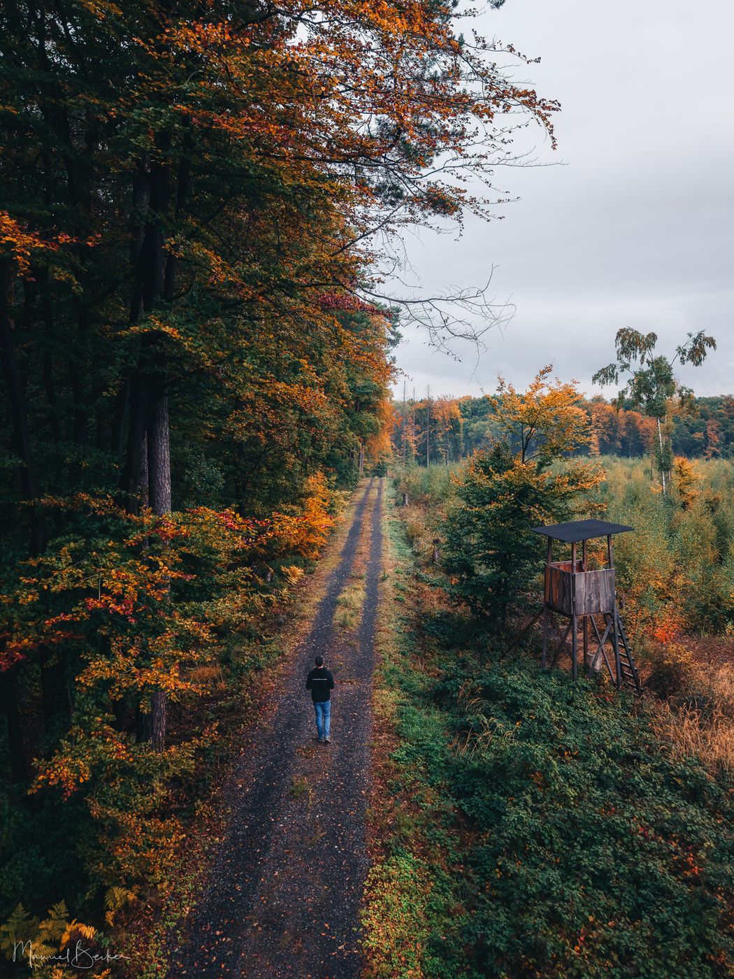 Dirt road near Dachsberger Lake, Stockhausen, Germany