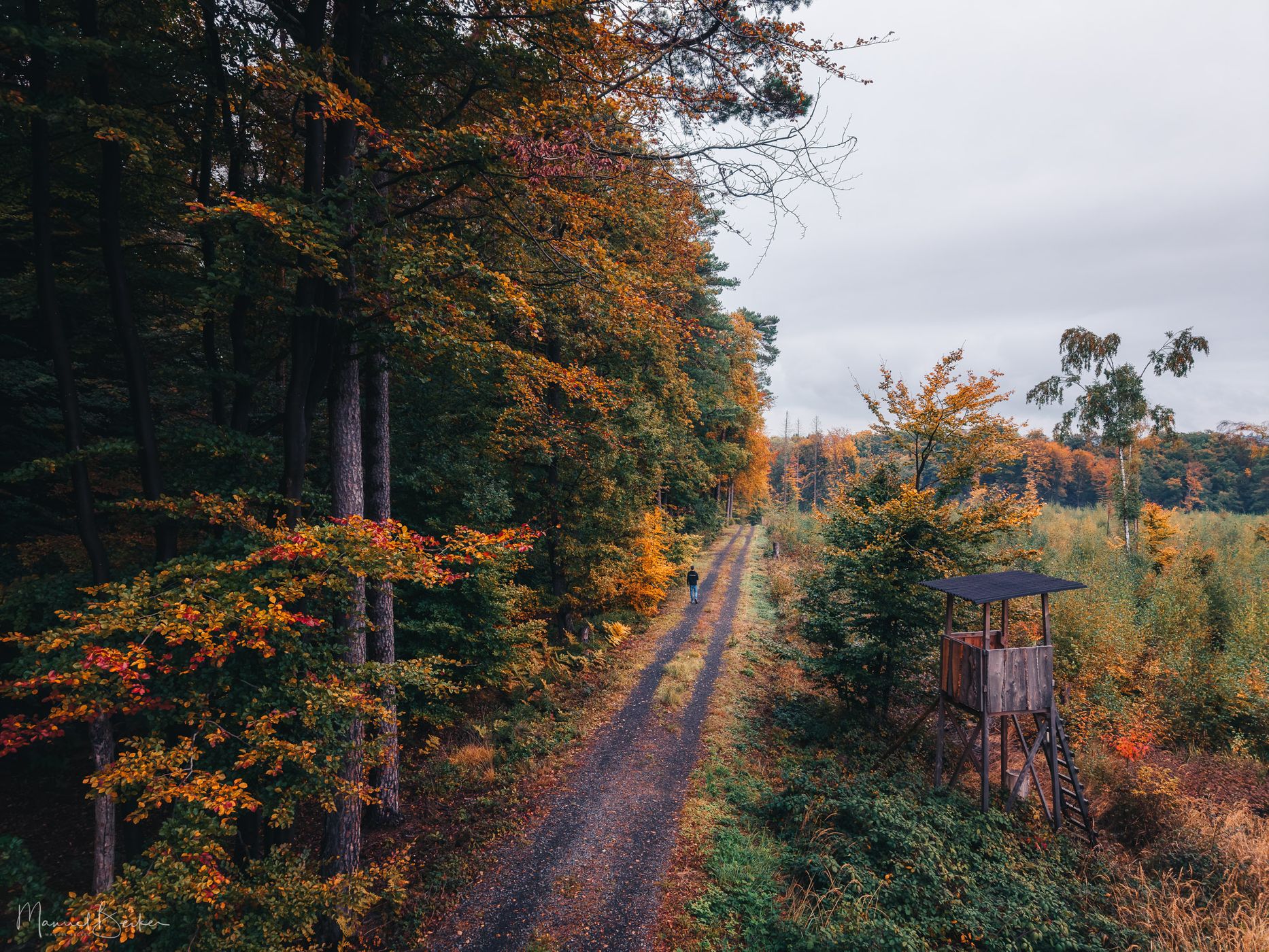 Dirt road near Dachsberger Lake, Stockhausen, Germany