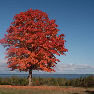 Down East Maine, USA