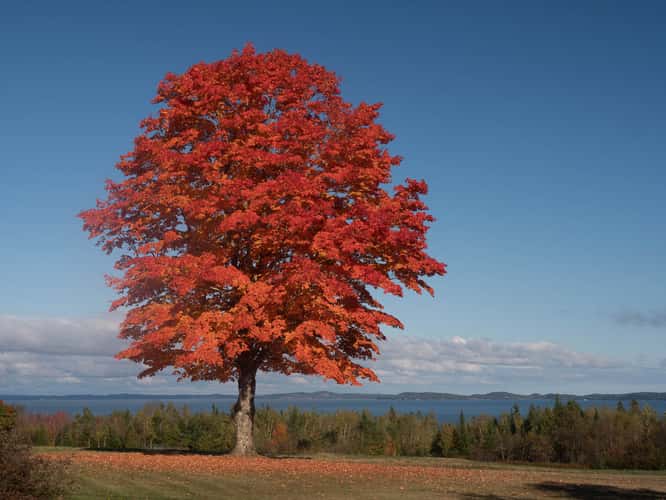 Down East Maine