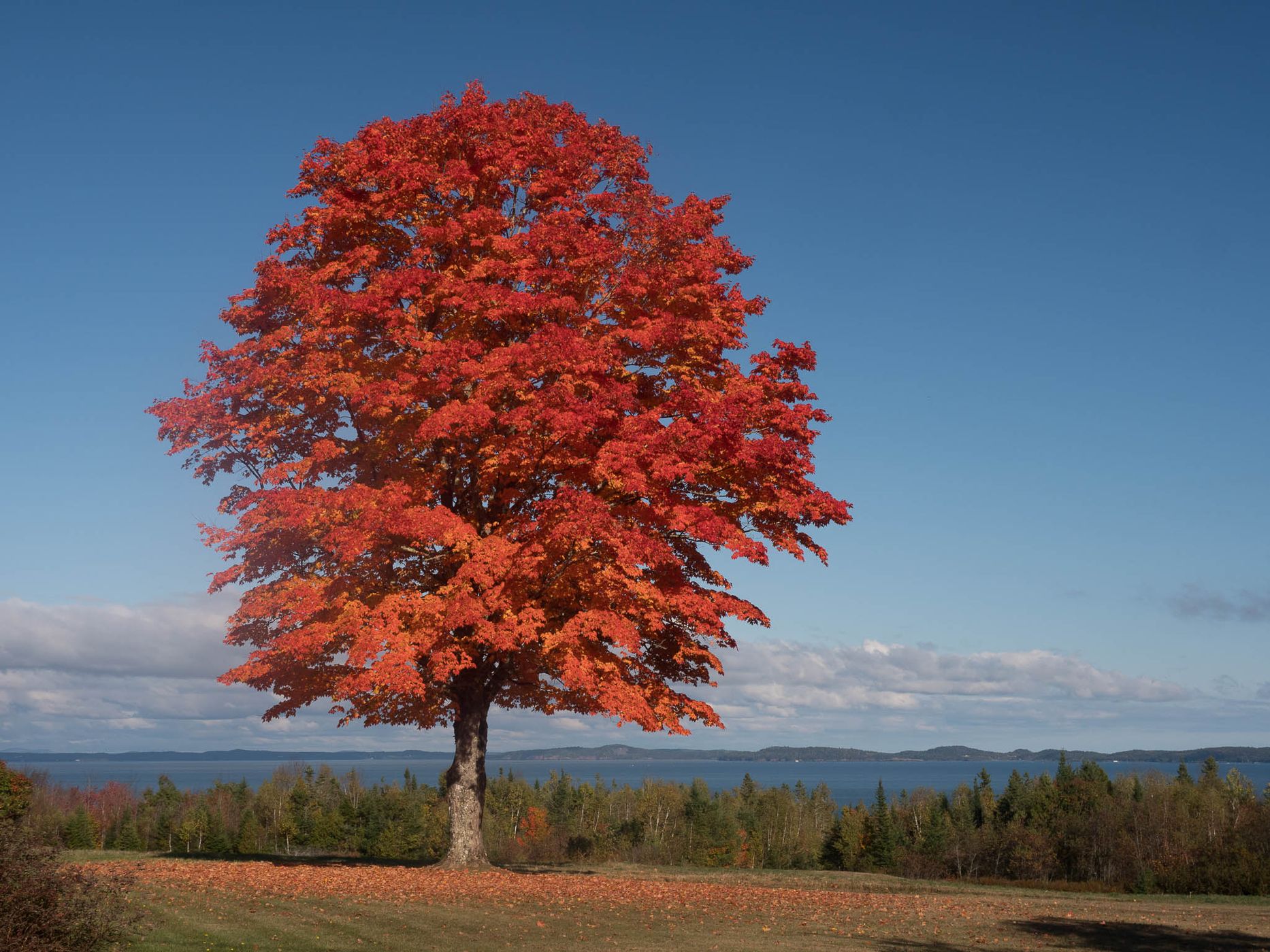 Down East Maine, USA