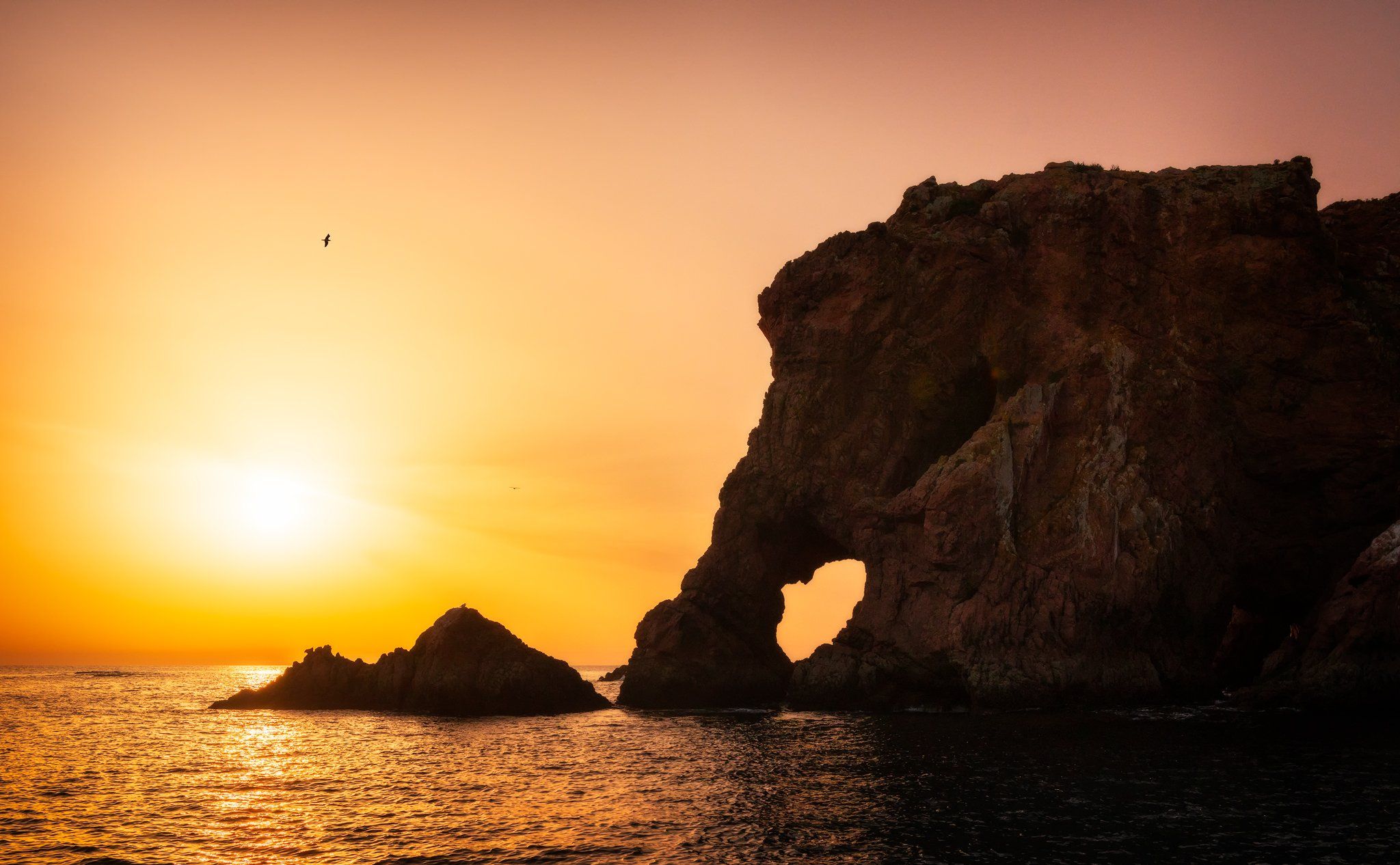 Elephant rock on the Berlengas Island, Portugal