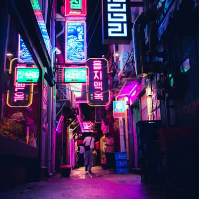 Euljiro Neon Lights, South Korea