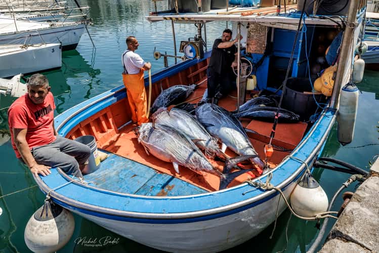 Fishing harbour of Palermo Sicily