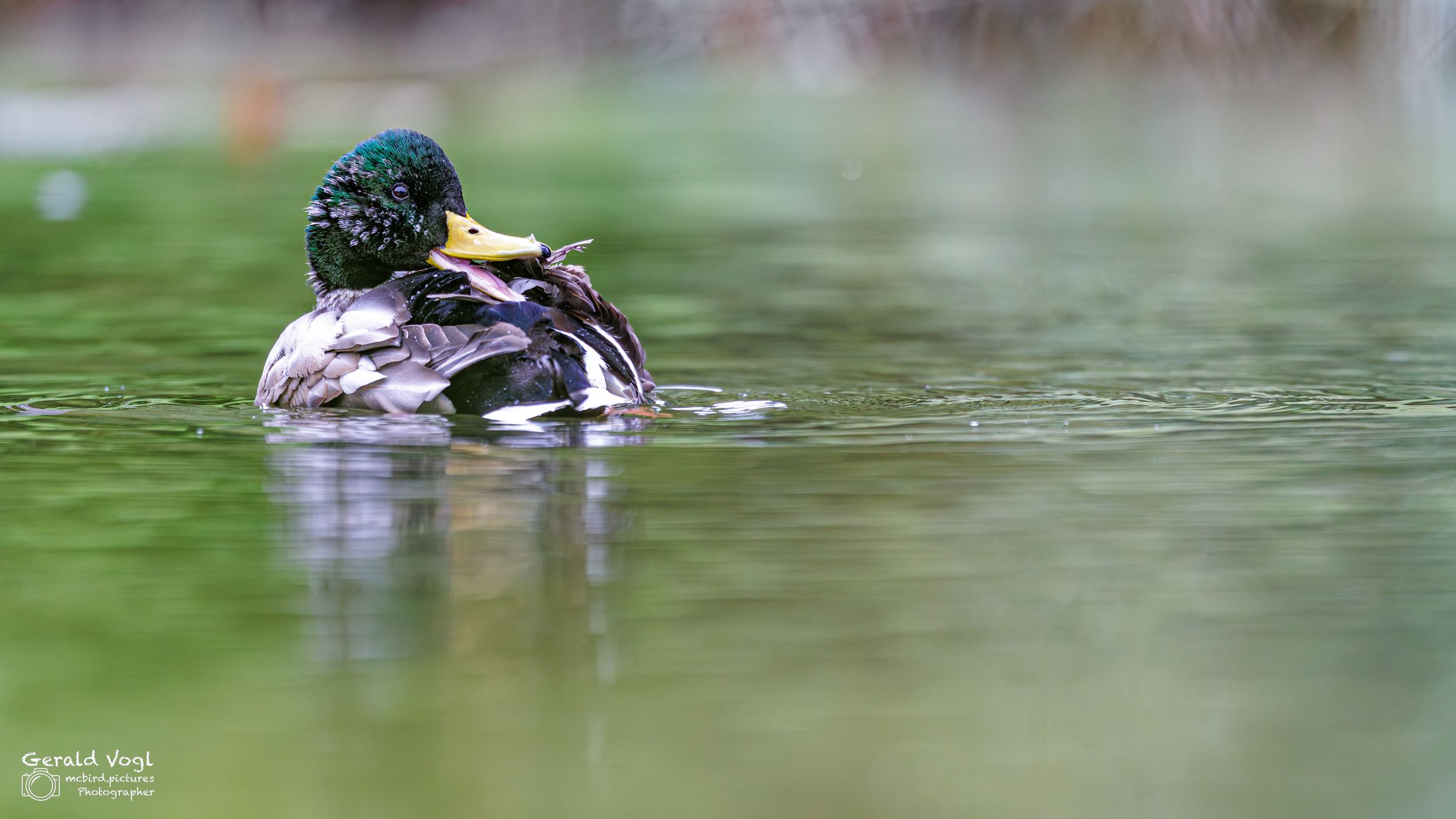 Florisdorfer Wasserpark, Vienna, Austria