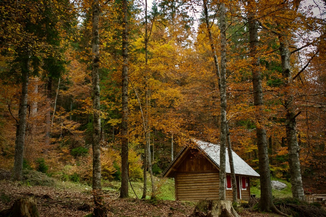 Foliage at Fusine Lake, Italy