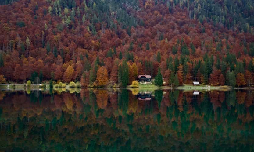 Foliage at Fusine Lake