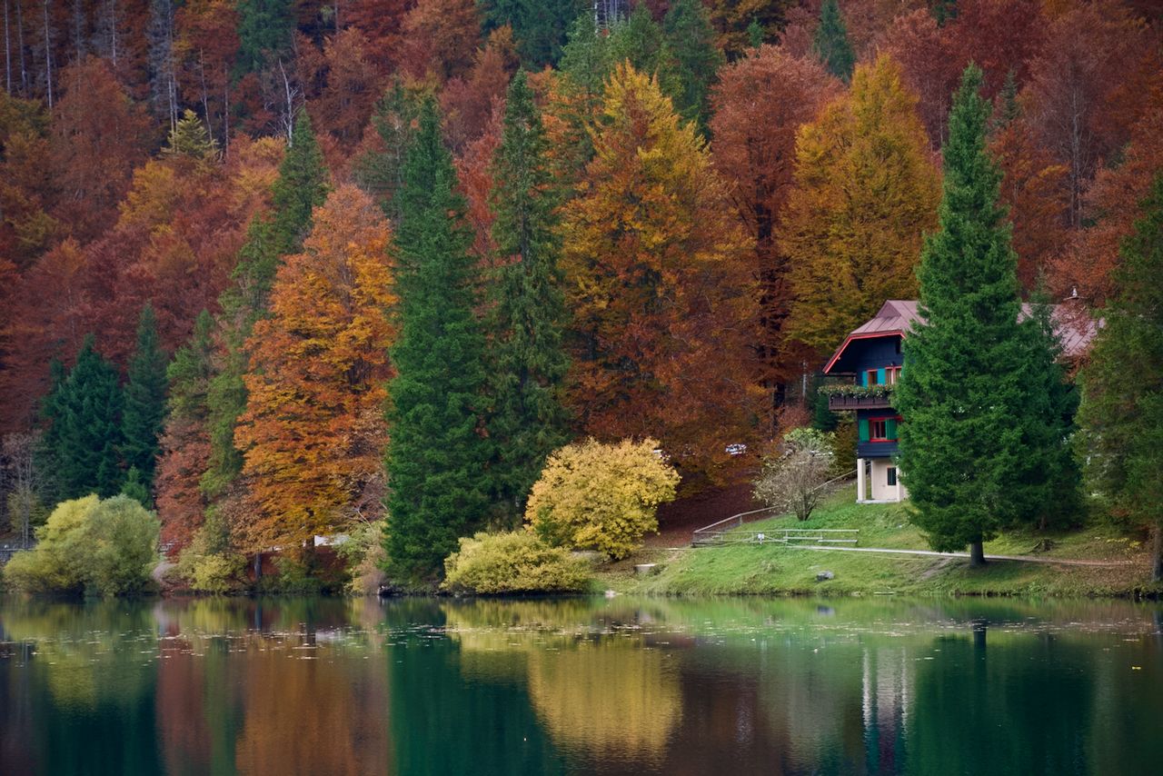 Foliage at Fusine Lake, Italy