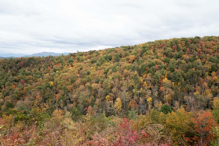 Foothills Parkway