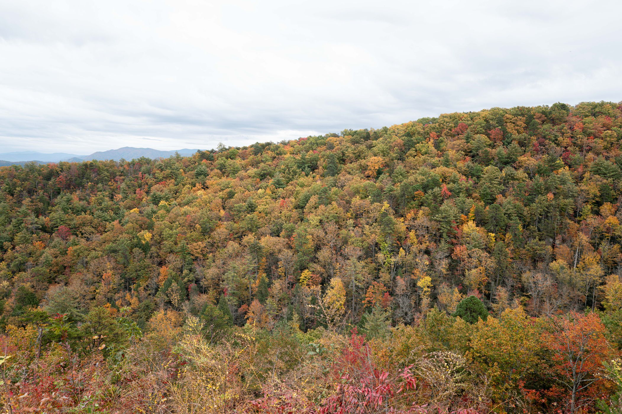 Foothills Parkway, USA