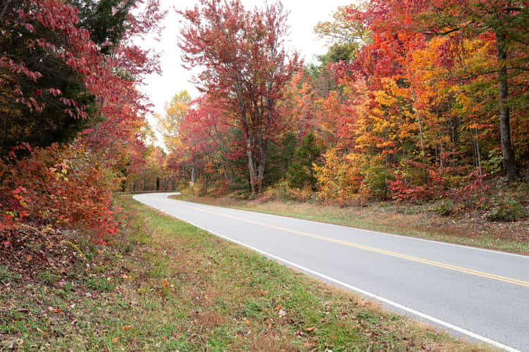 Foothills Parkway
