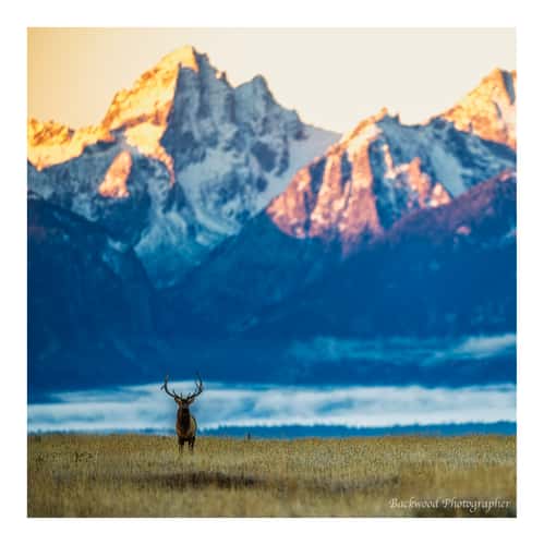 Grant Teton National Park