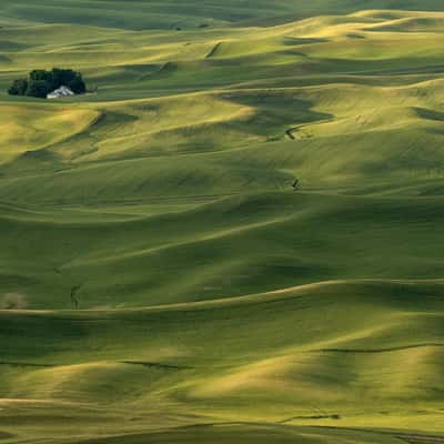 Green fields from the Butte, USA