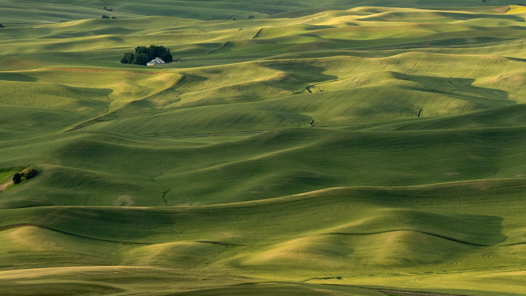 Green fields from the Butte, USA