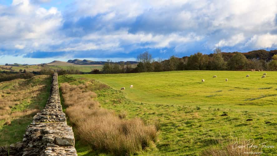 Hadrian's Wall