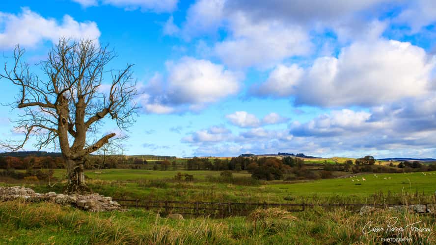 Hadrian's Wall