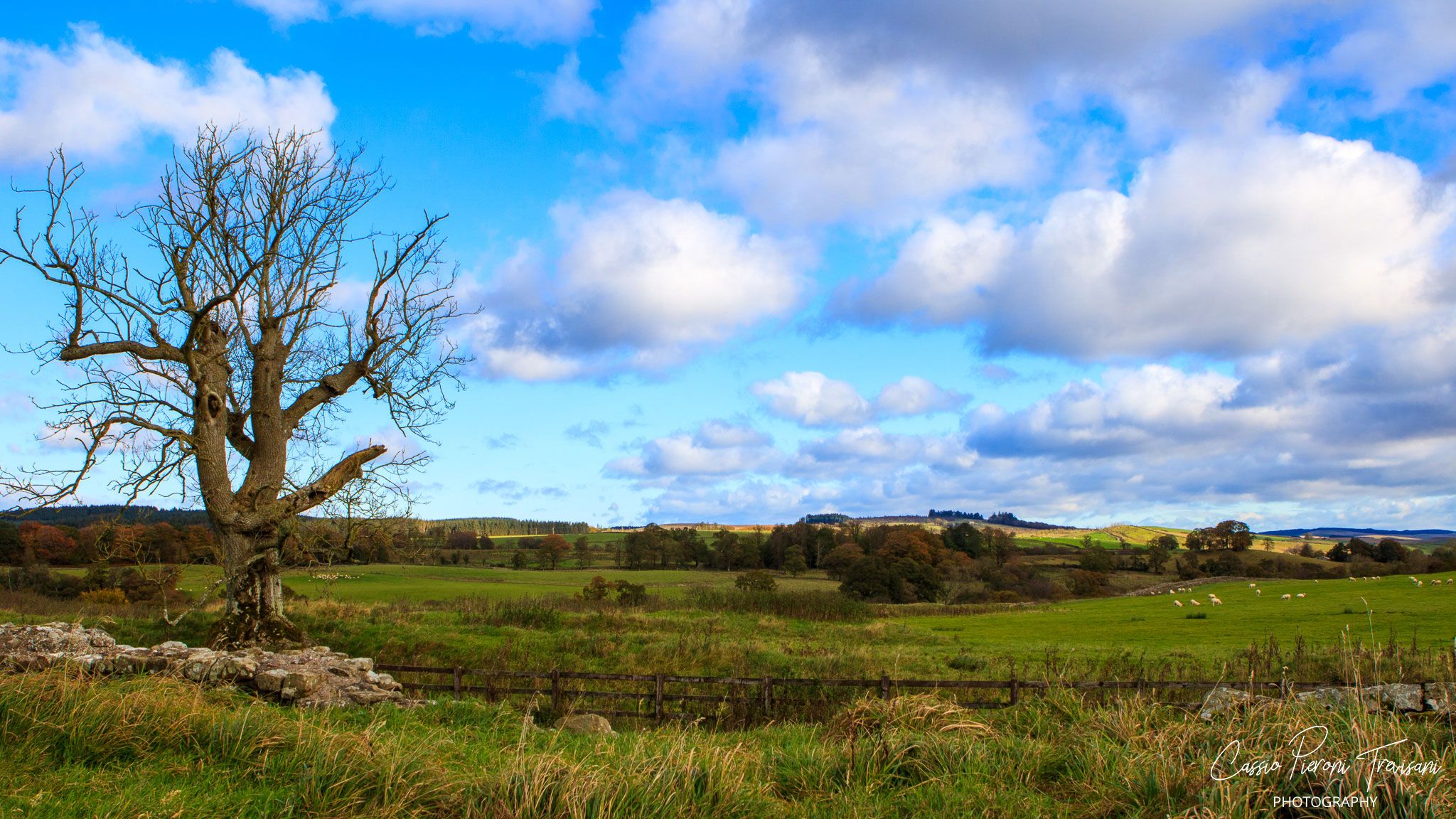 Hadrian's Wall, United Kingdom