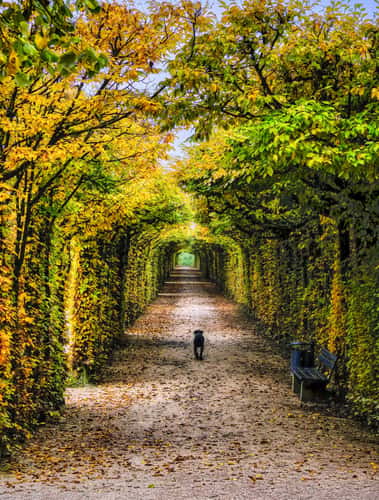 Hermitage Bayreuth