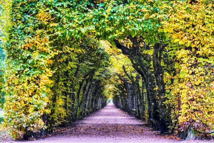 Hermitage Bayreuth