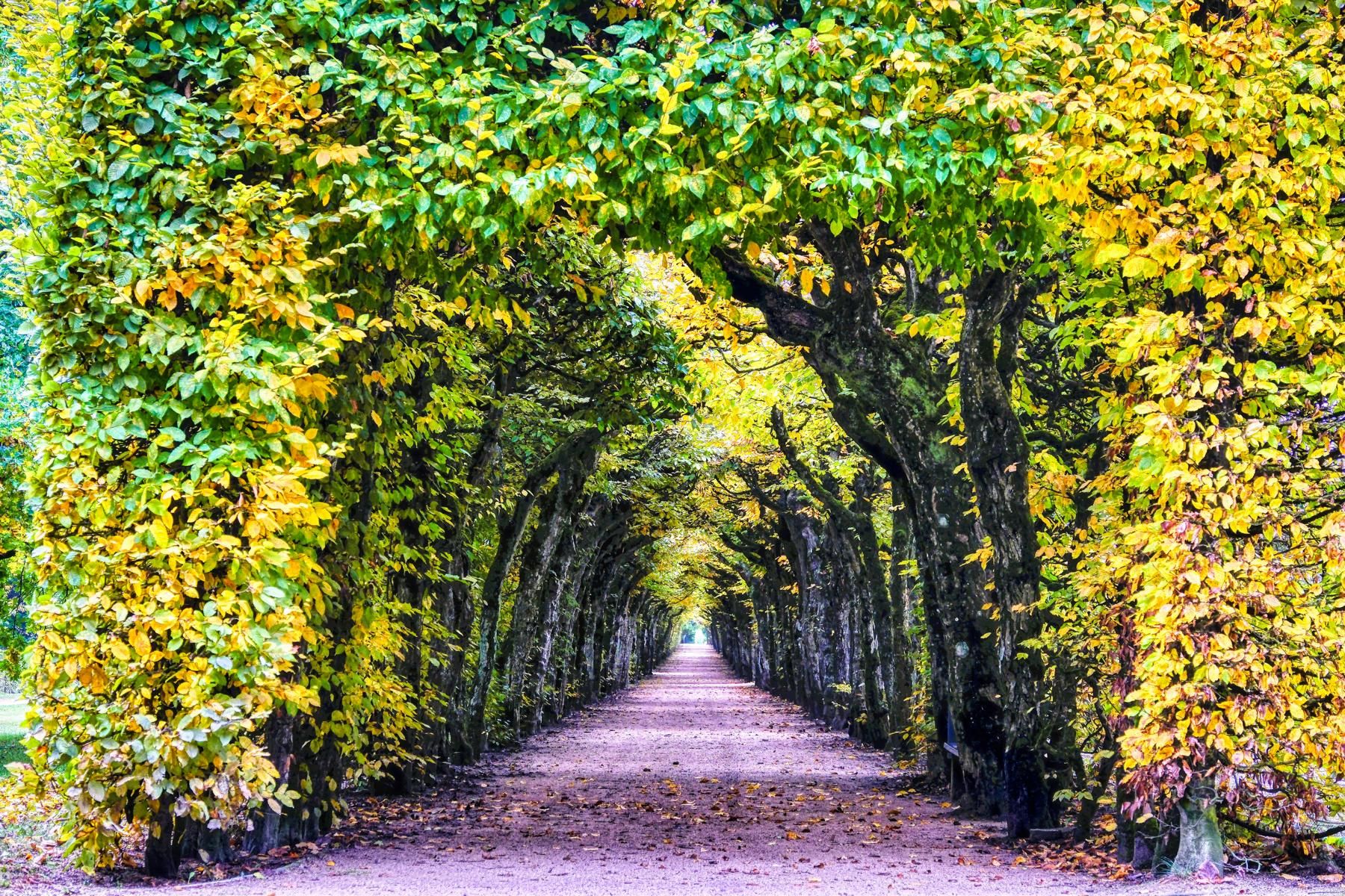 Hermitage Bayreuth, Germany