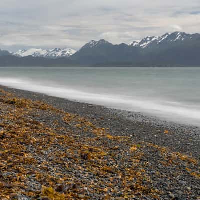 Homer's beach, USA