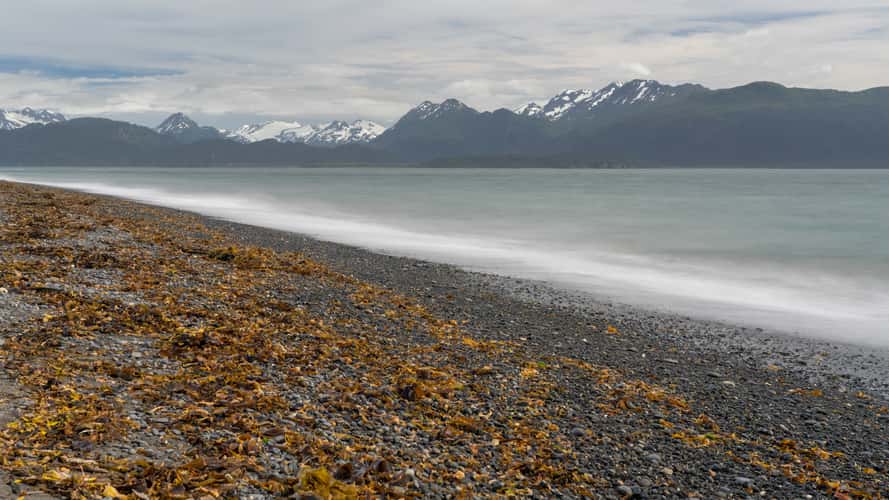 Homer's beach