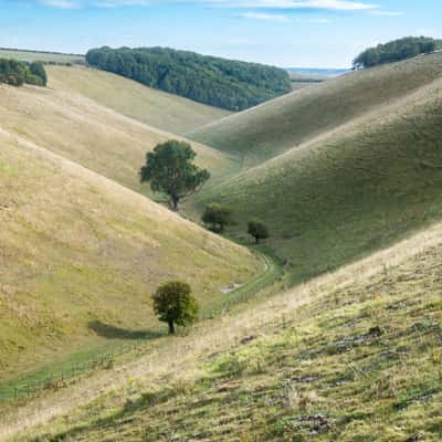 Horse Dale, Huggate, United Kingdom