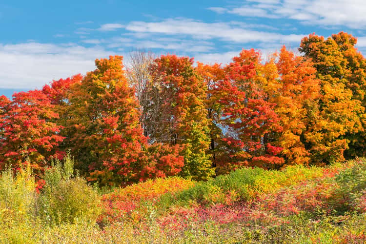 Indian Summer at Mactaquac Dam
