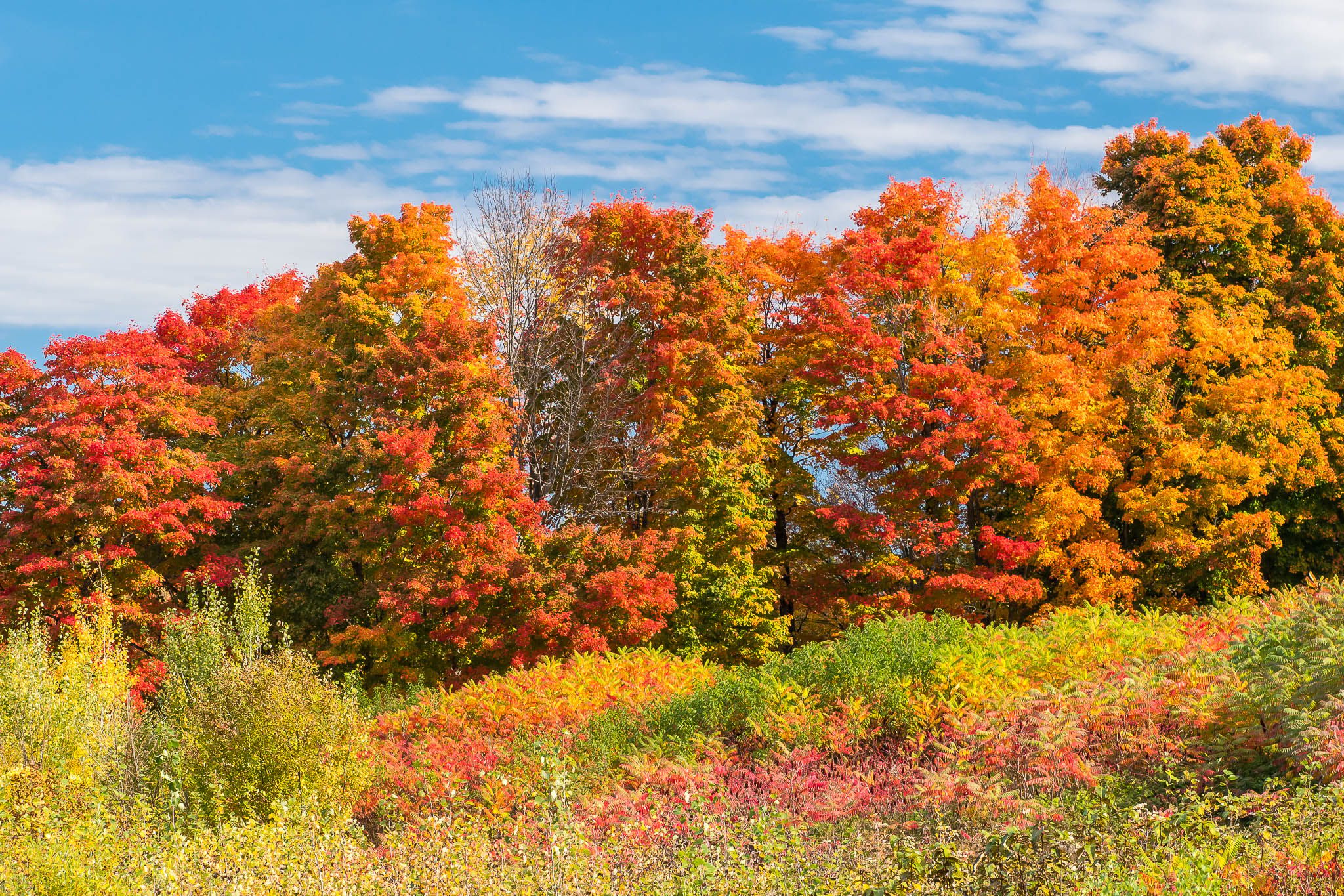 Indian Summer at Mactaquac Dam, Canada