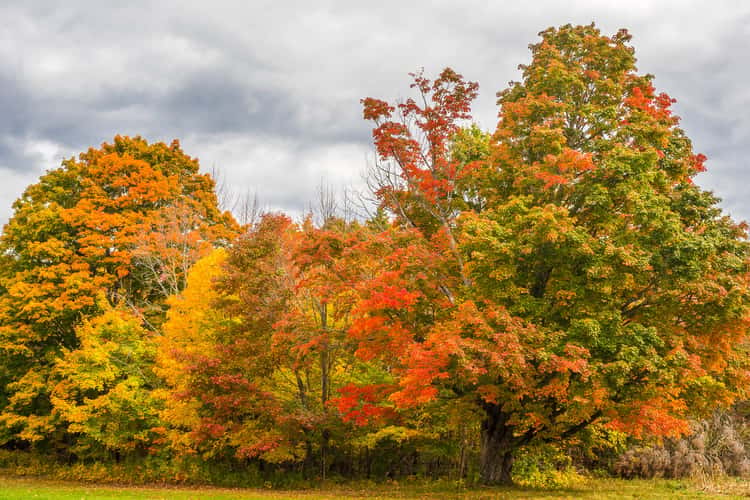 Indian Summer at Mactaquac Dam