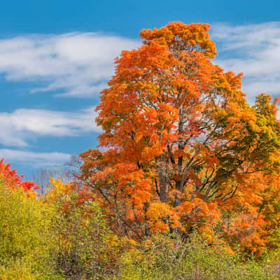 Indian Summer at Mactaquac Dam, Canada